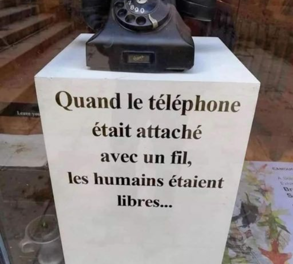 consequat varius tel